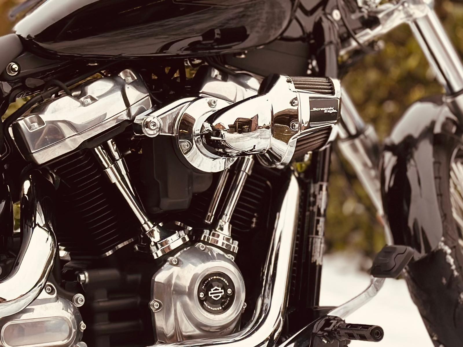 Screamin' Eagle Luftfilter mit Gutachten