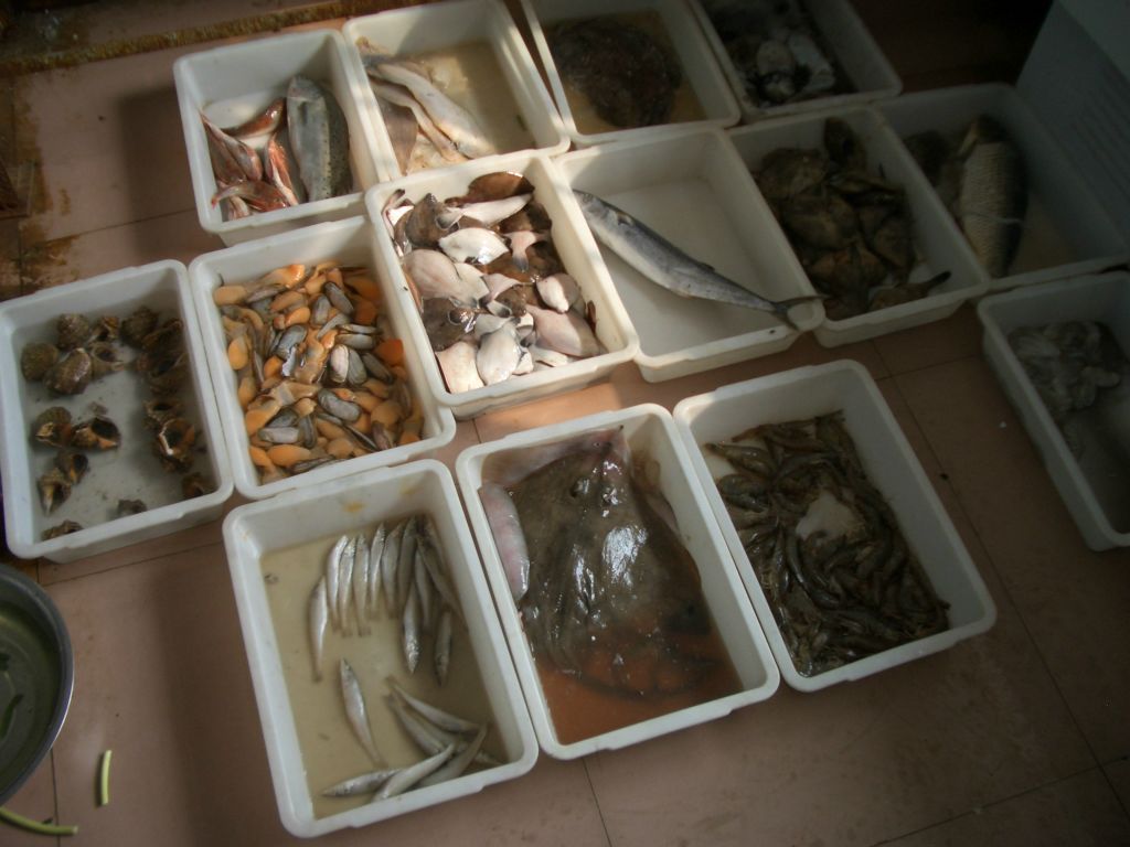 Bild 11 von Chinatour 2015