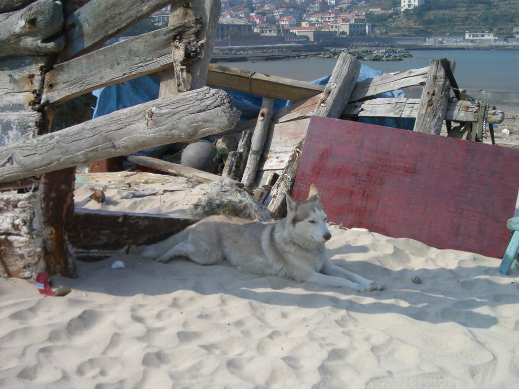 Bild 49 von Chinatour 2015